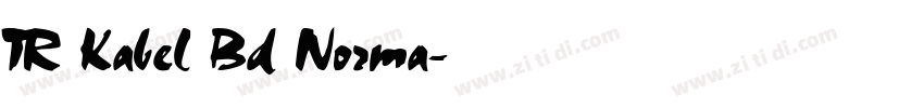 TR Kabel Bd Norma字体转换